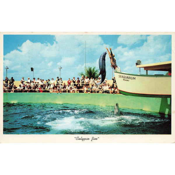 Postcard Calypso Jim, Seaquarium, Miami  Vintage Posted 1960