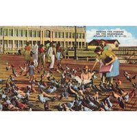 Postcard Feeding The Pigeons On The Boardwalk, Atlantic City, N.J. - 52 Linen Unposted 1930-1950