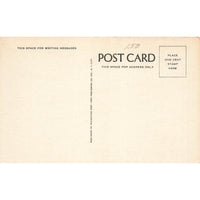 Postcard Hialeah Park Race Track, Miami, Florida F16 Vintage Linen Unposted 1930-1950