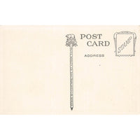 Postcard Grape Arbor In California 5946 Vintage White Border Unposted 1917-1929