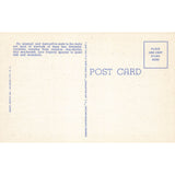 Postcard Deep Sea Net Haul, Million Dollar Pier, Atlantic City, N.J. Linen Unposted 1930-1950