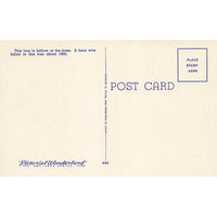 Postcard "Grandmother Tree", Big Basin, Calif. Vintage Linen Unposted 1930-1950