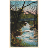 Postcard Creek In Alum Rock Park, San Jose, California 394 White Border Unposted 1917-1929
