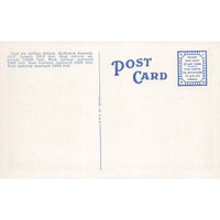 Postcard Municipal Free Bridge, St. Louis, Mo. Vintage White Border Unposted 1917-1929