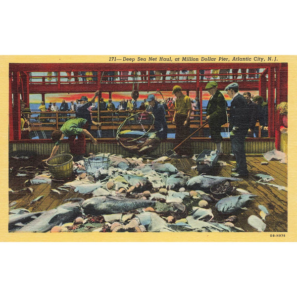 Postcard Deep Sea Net Haul, Million Dollar Pier, Atlantic City, N.J. Linen Unposted 1930-1950