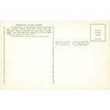 Postcard Springtime In the Ozarks Vintage Chrome Unposted 1939-1970s