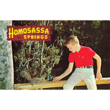Postcard Homosassa Springs Vintage Chrome Posted 1939-1970s