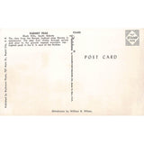 Postcard Harney Peak Ranger Lookout, Black Hills Vintage Chrome Unposted 1939-1970s