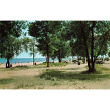 Postcard Terry Andrae State Park Picnic Grove, Near Sheboygan, Wisconsin Chrome Unposted 1939-1970s