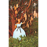 Postcard Florida's Cypress Gardens Sausage Tree Vintage Chrome Unposted 1939-1970s