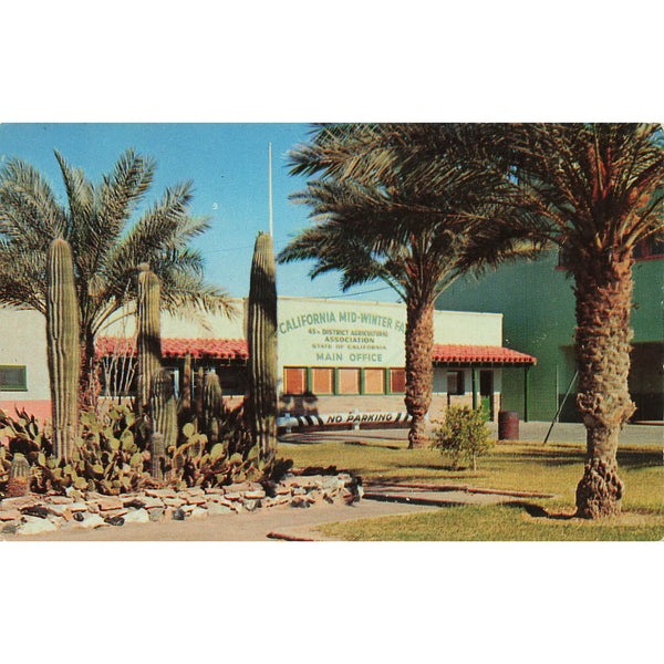 Postcard California Mid-Winter Fair Grounds Vintage Chrome Unposted