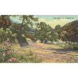 Postcard Hope Ranch, Santa Barbara, Cal. Vintage Divided Back Unposted 1907-1915