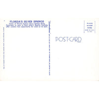 Postcard Florida's Silver Wings Vintage Chrome Unposted 1939-1970s