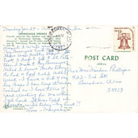 Postcard Homosassa Springs Vintage Chrome Posted 1939-1970s