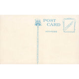 Postcard McKinley Park, Tacoma, Washington Divided Back Unposted 1907-1915