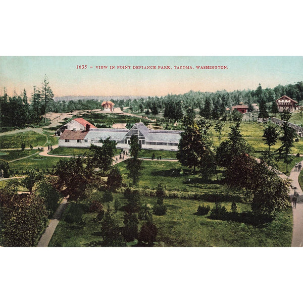 Postcard View In Point Defiance Park, Tacoma, Washington 1635 Divided Back Unposted 1907-1915