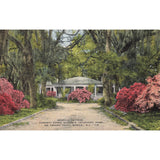 Postcard Augusta Evans Wilson's Childhood Home Azalea Trail Ala Linen 1930-1950