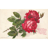 Postcard Here Are Red Roses Vintage Divided Back Unposted 1908