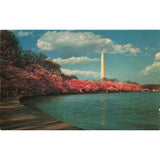 Postcard The Washington Monument Vintage Chrome Unposted 1939-1970s