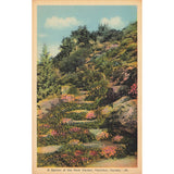 Postcard A Section of the Rock Garden, Hamilton, Canada 28 White Border Unposted 1917-1929