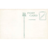 Postcard West Grammar School, Stockton, California Vintage White Border Unposted 1917-1929