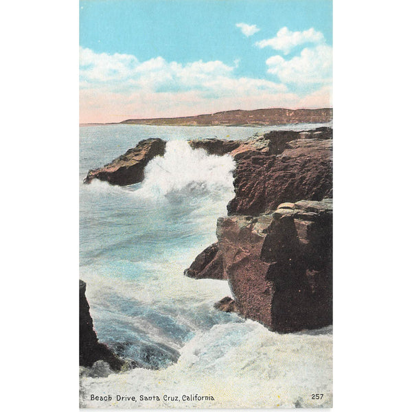 Postcard Beach Drive, Santa Cruz, California 257 Vintage Divided Back Unposted 1907-1915