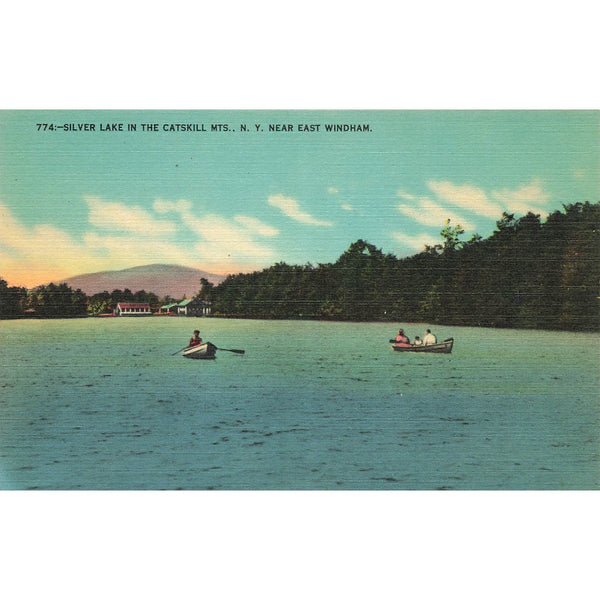 Postcard Silver Lake In The Catskill Mts., N.Y. 774 Linen Unposted 1930-1950