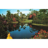 Postcard Cypress Gardens Florida Blossom Time Vintage Chrome Unposted 1939-1970s