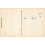 Postcard Water Hyacinths In Florida 3B-HB44 Vintage Linen Unposted 1930-1950 Vintage Postcard