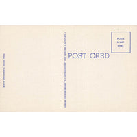 Postcard Titche-Goettinger Department Store, Dallas, Texas Linen Unposted 1930-1950