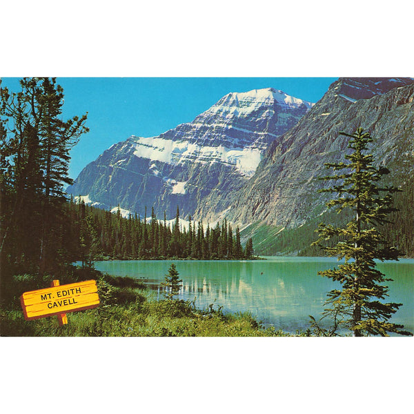 Postcard Mt. Edith Cavell, Athabasca Valley Jasper National Park Chrome Unposted 1939-1970s