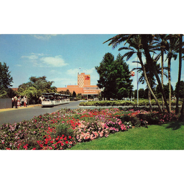 Postcard Entrance to Busch Gardens, Tampa, Florida T-33A Vintage Chrome Unposted 1939-1970s