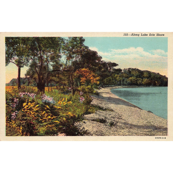 Postcard Along Lake Erie Shore 155 Vintage White Border Unposted 1917-1929