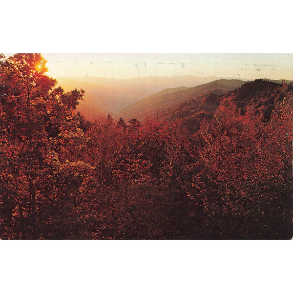 Postcard Fall Color Scene, Great Smoky Mountains National Park Chrome Unposted