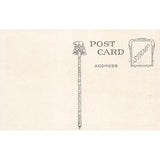 Postcard General View, Sequoia Gardens, Near Santa Cruz, California Vintage White Border Unposted 1917-1929