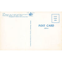 Postcard Royal Palms McKee Jungle Gardens, Vero Beach Florida Vintage Chrome