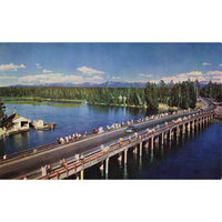 Postcard Fishing Bridge, Yellowstone National Park Chrome Unposted 1939-1970s