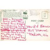 Postcard Parrot Jungle, Miami, Florida Vintage Chrome Posted 1939-1970s
