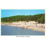Postcard LU.17 - Beautiful Beach On Lake Michigan At Pentwater, Michigan