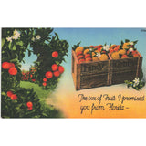 Postcard The Box of Fruit I Promised You From Florida Linen Posted 1930-1950