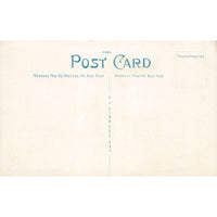 Postcard St. Cecelia's Church Hastings, Neb. White Border Unposted 1917-1929