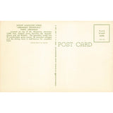 Postcard Mount Magazine Lodge "Arkansas' Showplace" Paris, Arkansas Chrome Unposted 1939-1970s
