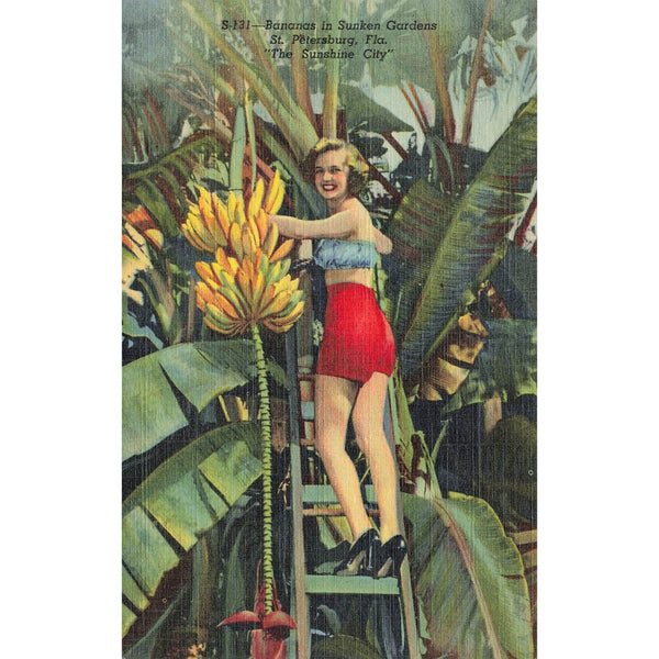 Postcard Bananas in Sunken Gardens, St. Petersburg, Fla., "The Sunshine State" S-131 Vintage Linen Unposted 1930-1950
