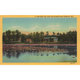 Postcard Pine Bluff Lily Pond and Hospital near Salisbury, Md Vintage Unposted 1930-1950