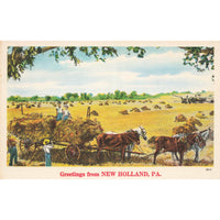 Postcard Greetings From New Holland, PA. 28006 White Border Unposted 1917-1929