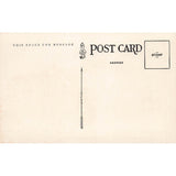 Postcard Y.M.C.A., Phoenix, Arizona Vintage White Border Unposted 1917-1929