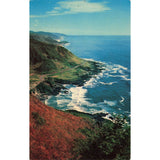 Postcard Cape Perpetua, Oregon Vintage Chrome Unposted 1939-1970s