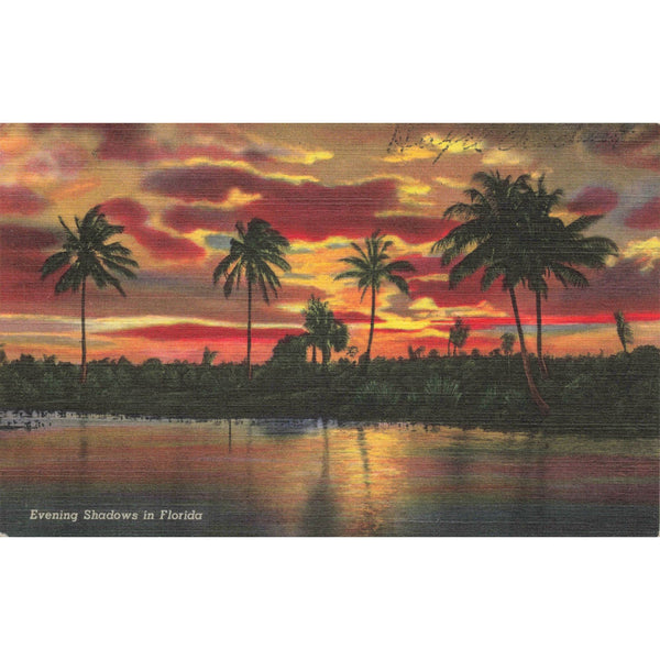Postcard Evening Shadows In Florida Vintage Linen Unposted 1930-1950