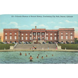 Postcard Colorado Museum of Natural History Denver. Colorado Chrome Unposted