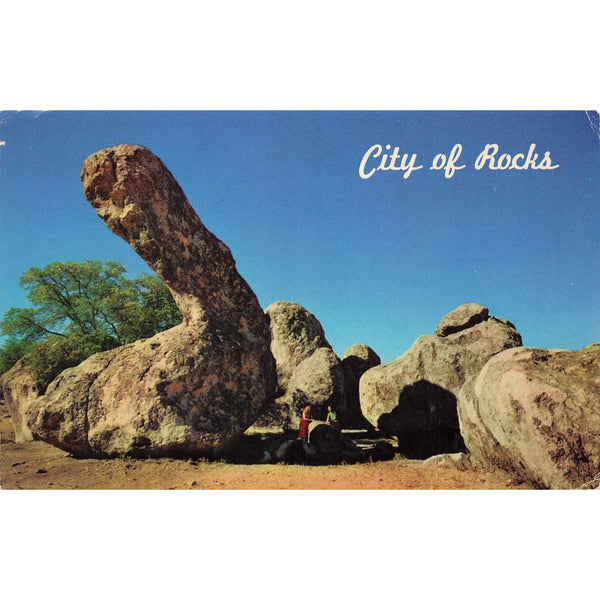 Postcard Famous Dinosaur Rock in the City of Rocks, New Mexico Chrome Posted 1969